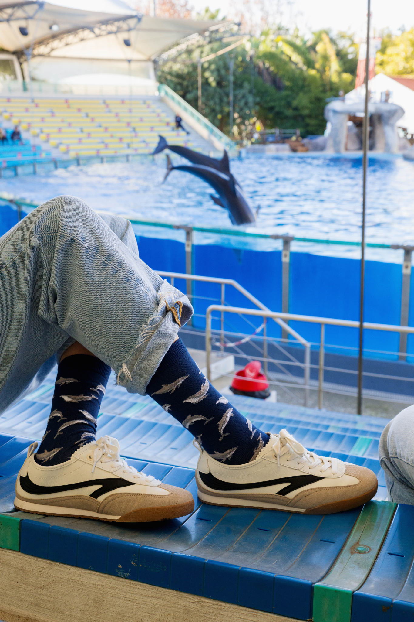 Chaussettes « Dauphins » - Chulé