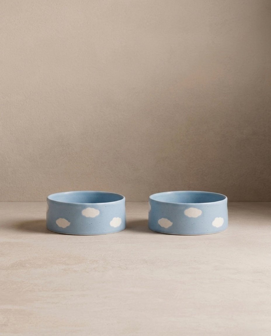 Cloud Pet Bowl 16.5cm 2-Piece Set