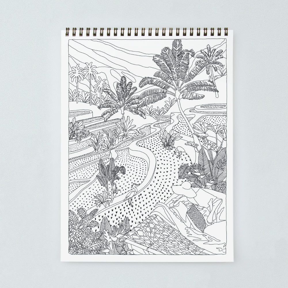 Coloring Book Volume 3