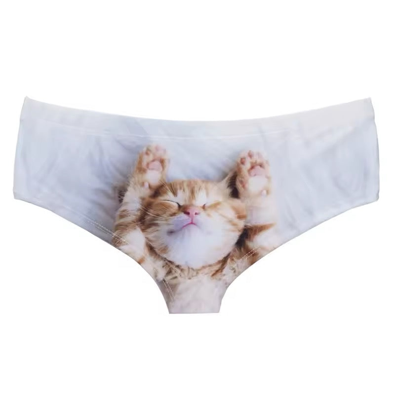 culotte chat i m cute pet me
