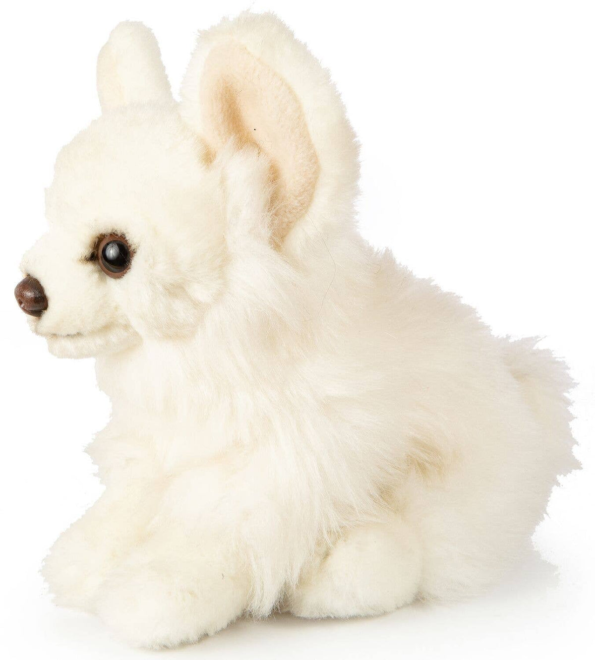 White chihuahua plush, sitting