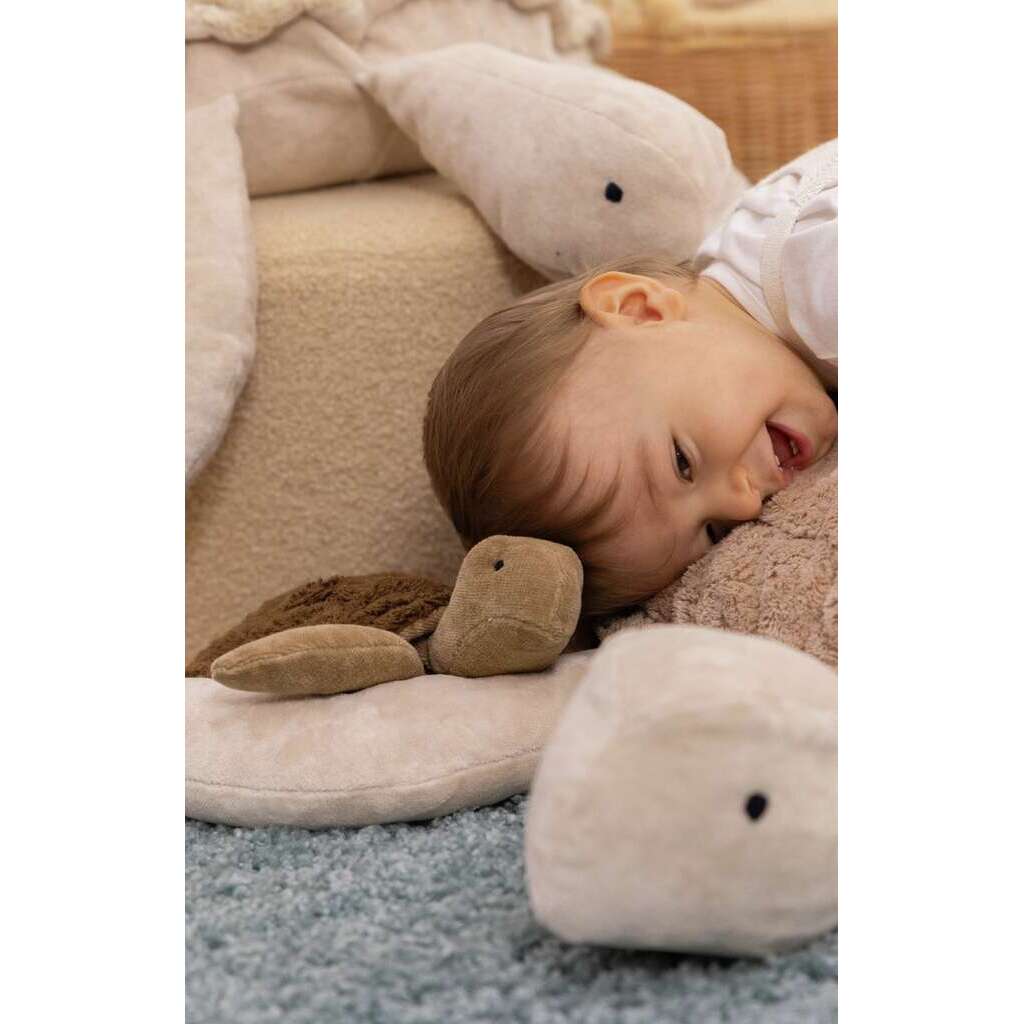 Small Turtle Plush Animal | Brown