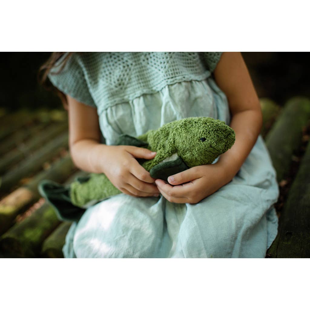Little cuddly green fir-tree fish | Senger-Naturwelt