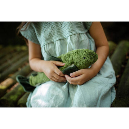Little cuddly green fir-tree fish | Senger-Naturwelt