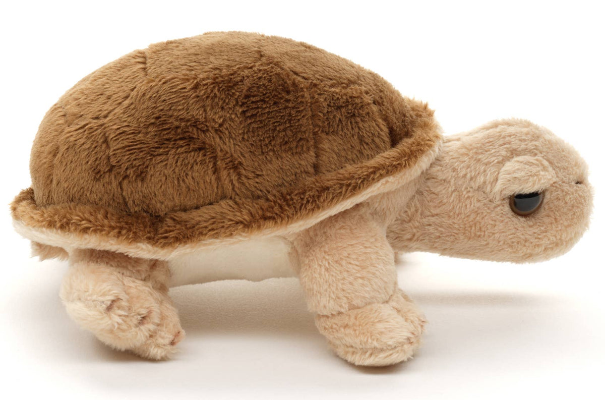 Turtle plush toy