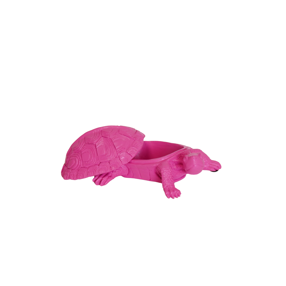 Turtle Box - Neonroze