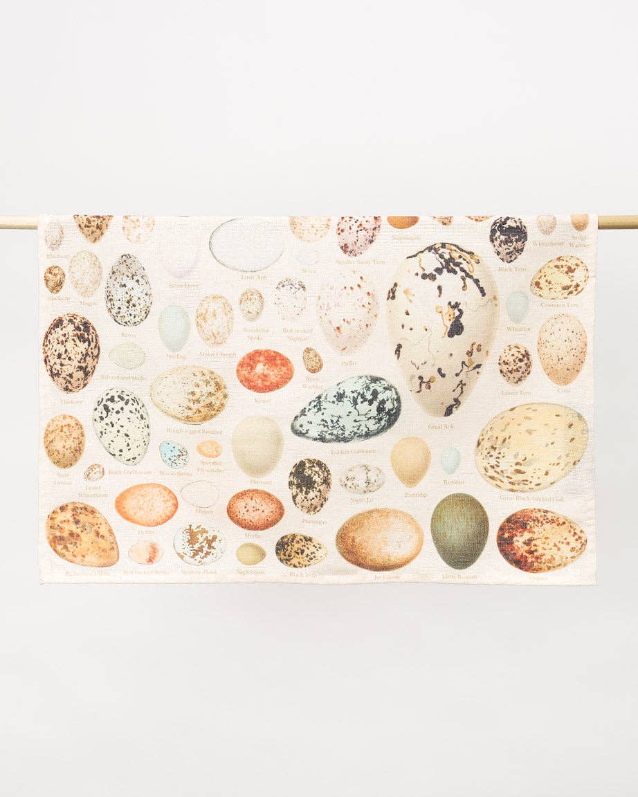 Egg dishcloth