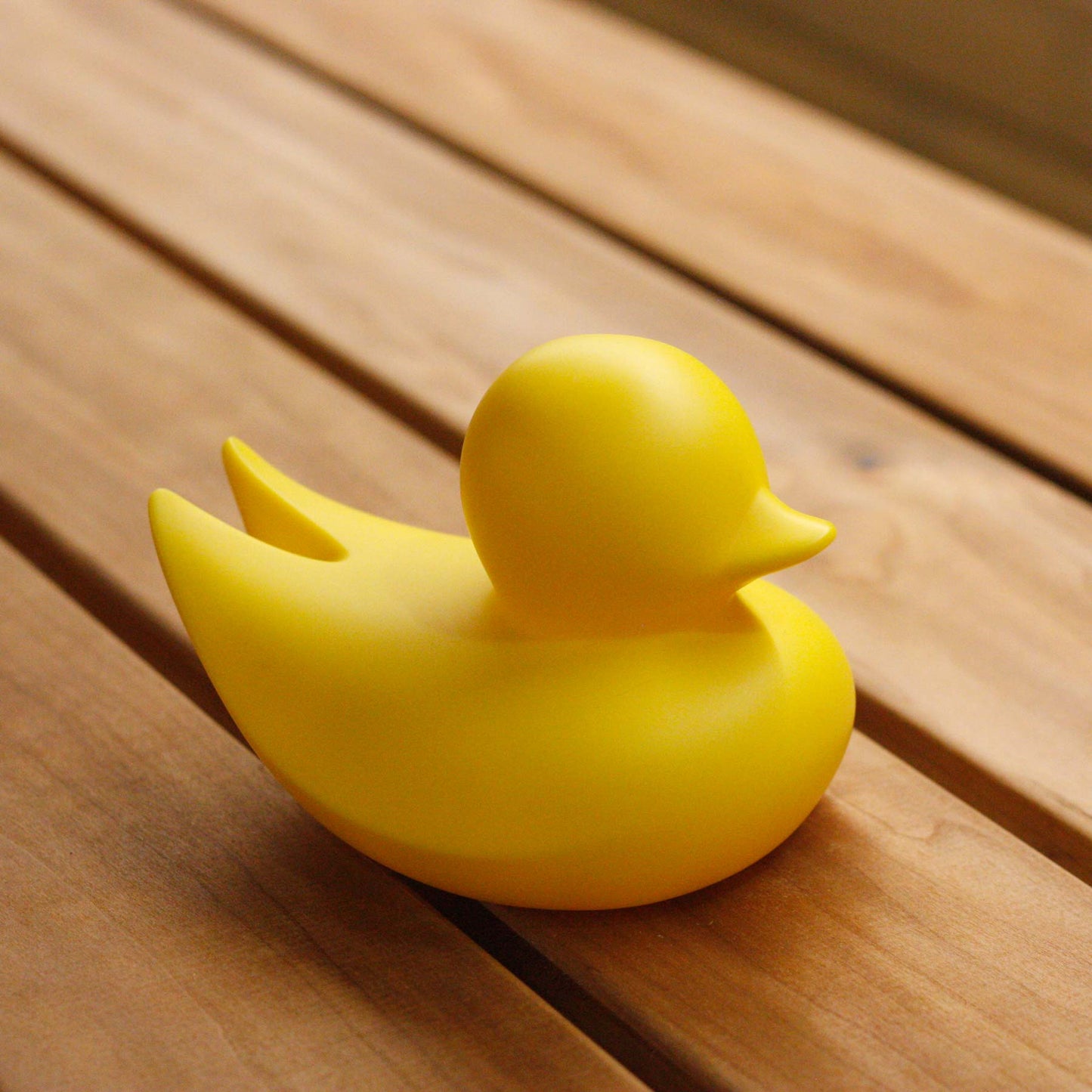 Minimalist Duck