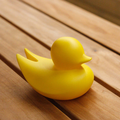 Minimalist Duck