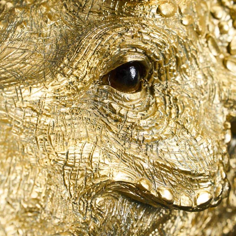 Triceratops Cera Gold wandlamp, hars, 31,5 x 28,5 cm