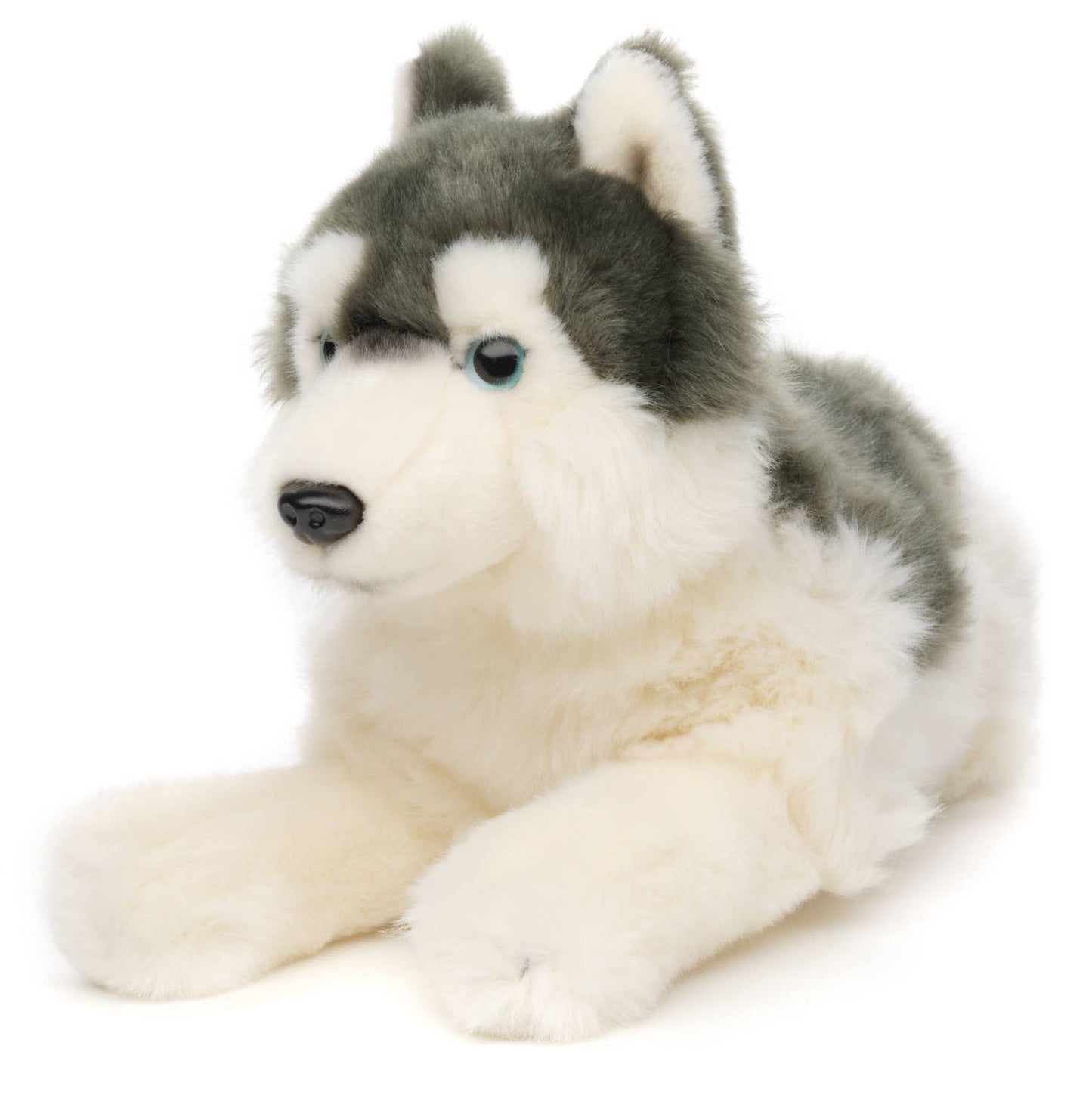 Peluche Husky gris, couché