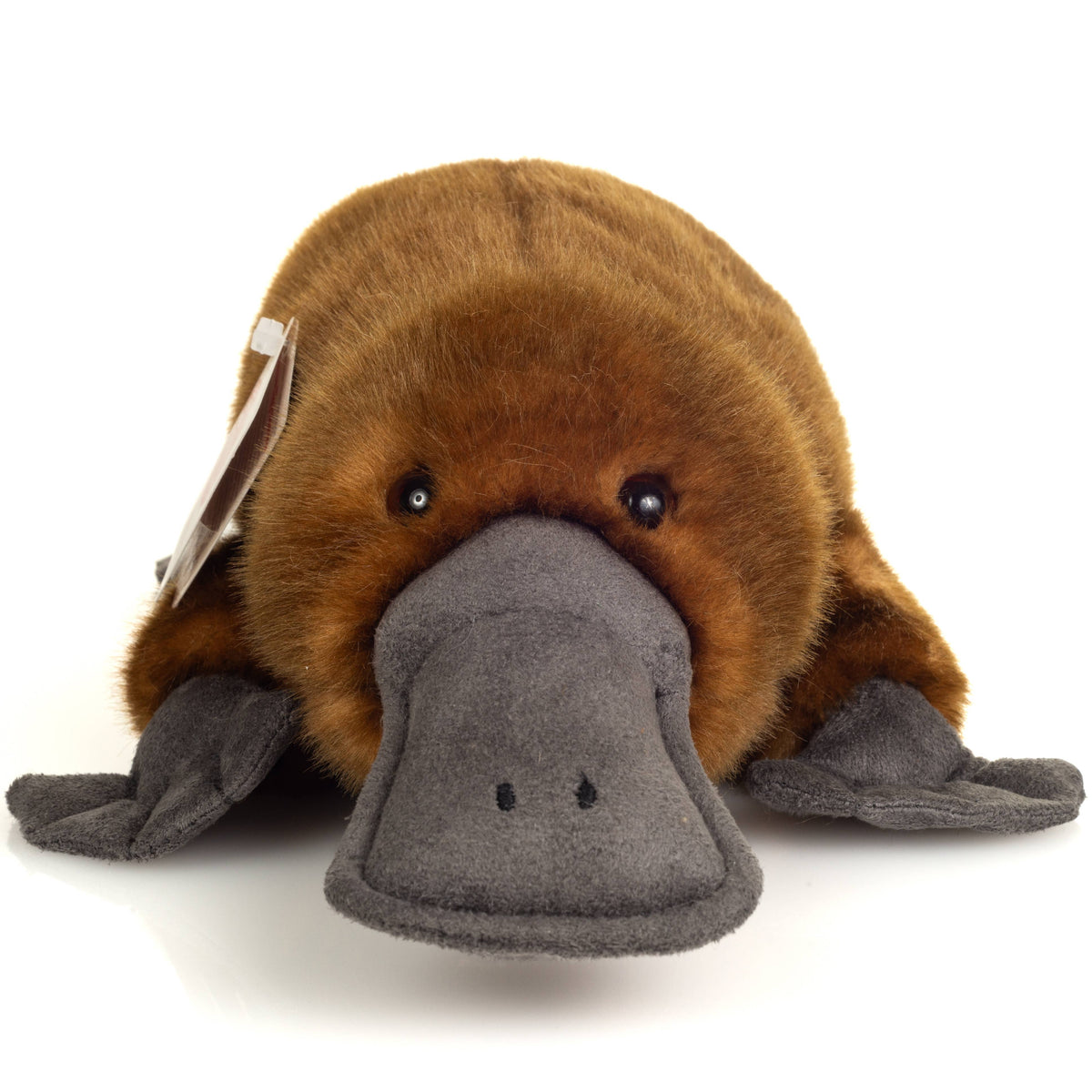 Peluche Ornithorynque – 35 cm