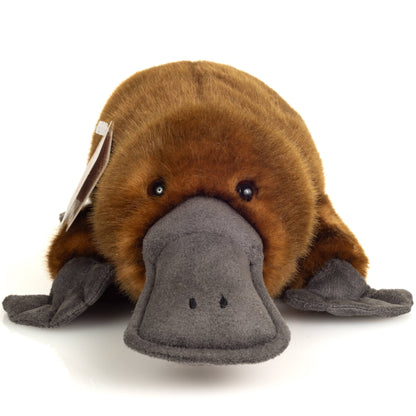 Peluche Ornithorynque – 35 cm