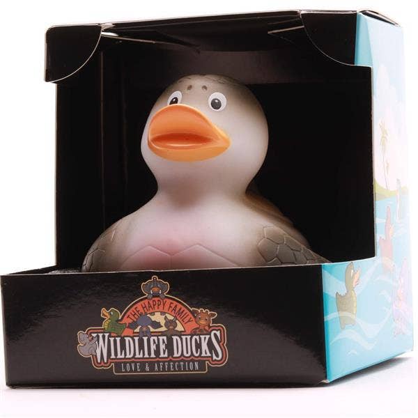 Canard tortue de mer