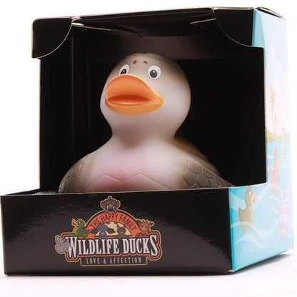 Canard tortue de mer