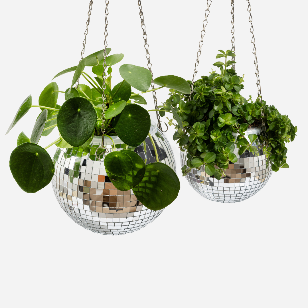 Disco ball plant pot, 15 cm