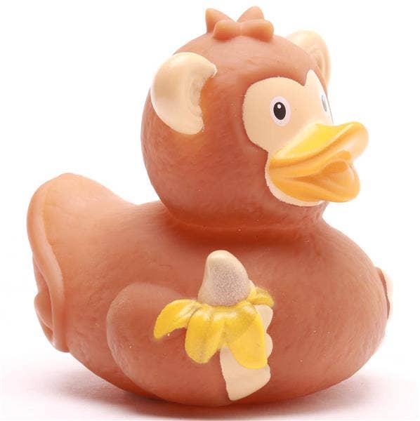 Canard singe
