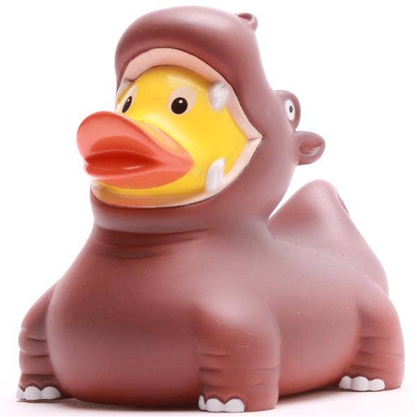 Canard Hippopotame