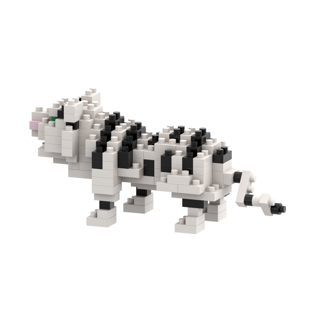BRIXIES Tigre Blanc
