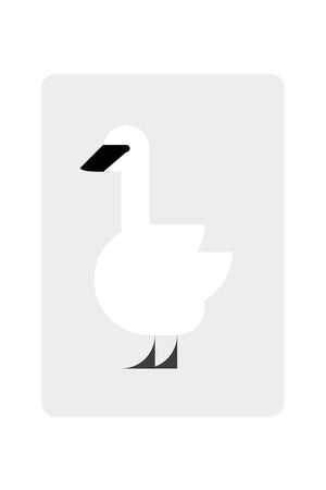 Carte Postale Cygne Trompette