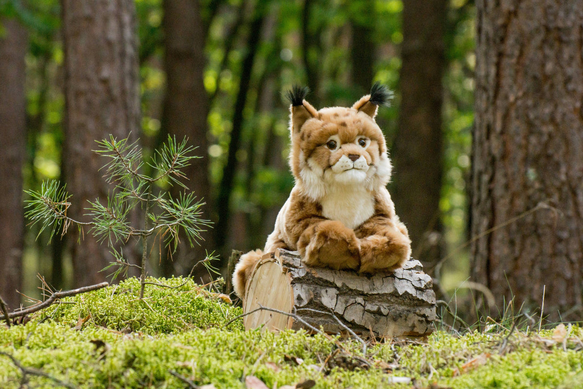 Lying Lynx Plush