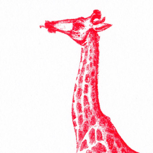 Carte postale Girafe Rouge