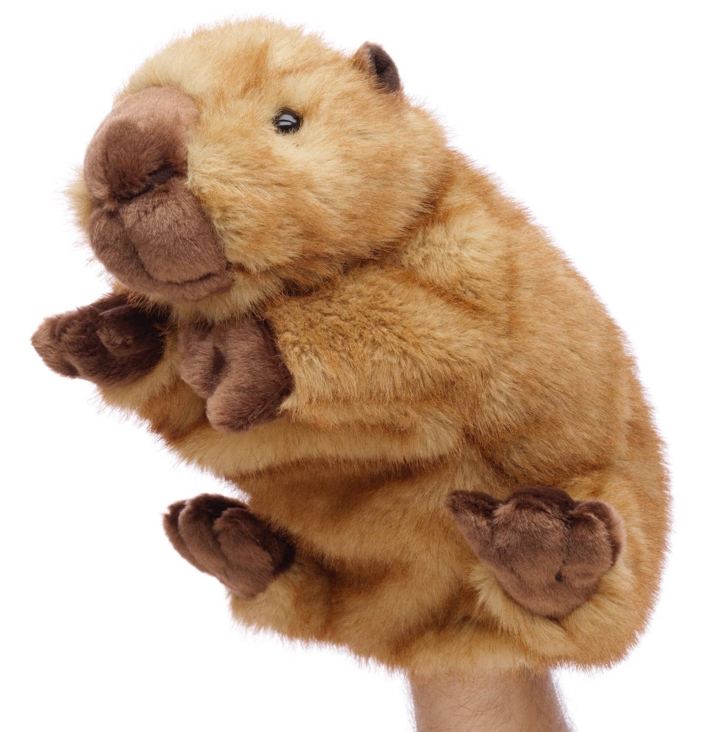 Marionnette à main Capybara