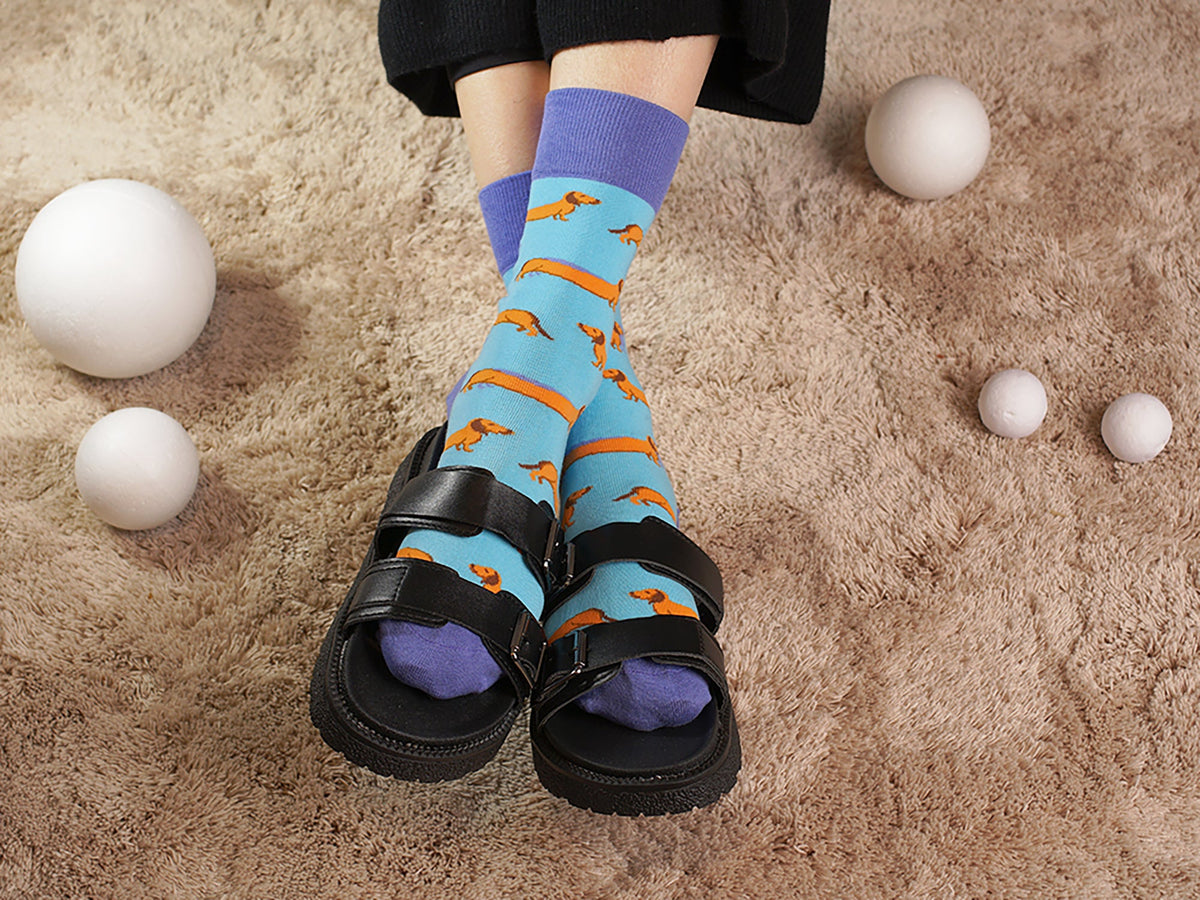 Chaussettes Teckel