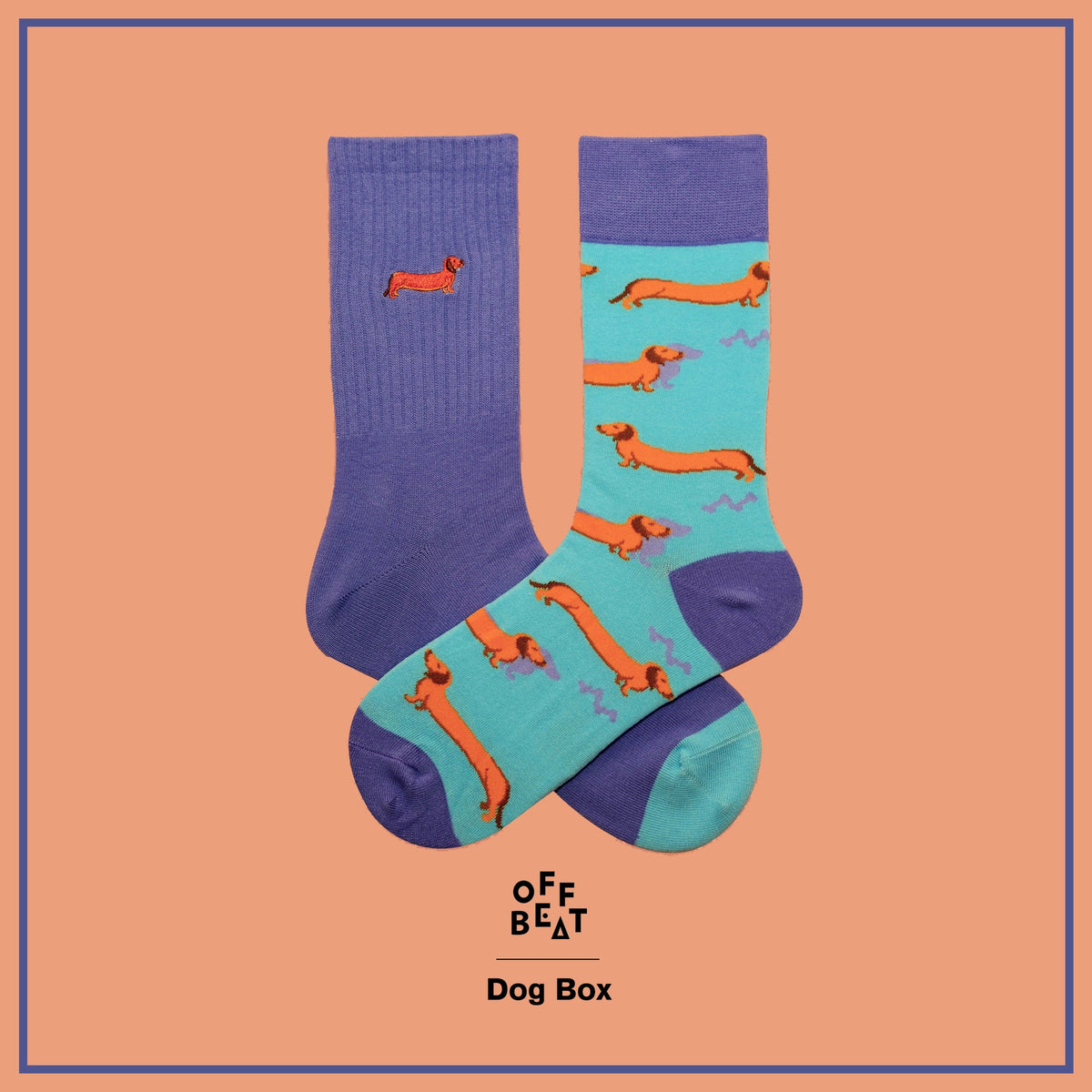 Coffret Cadeau Chaussettes Chien
