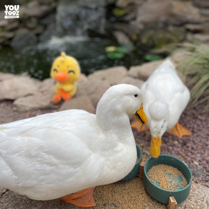 Duck Plush Toy (9in)