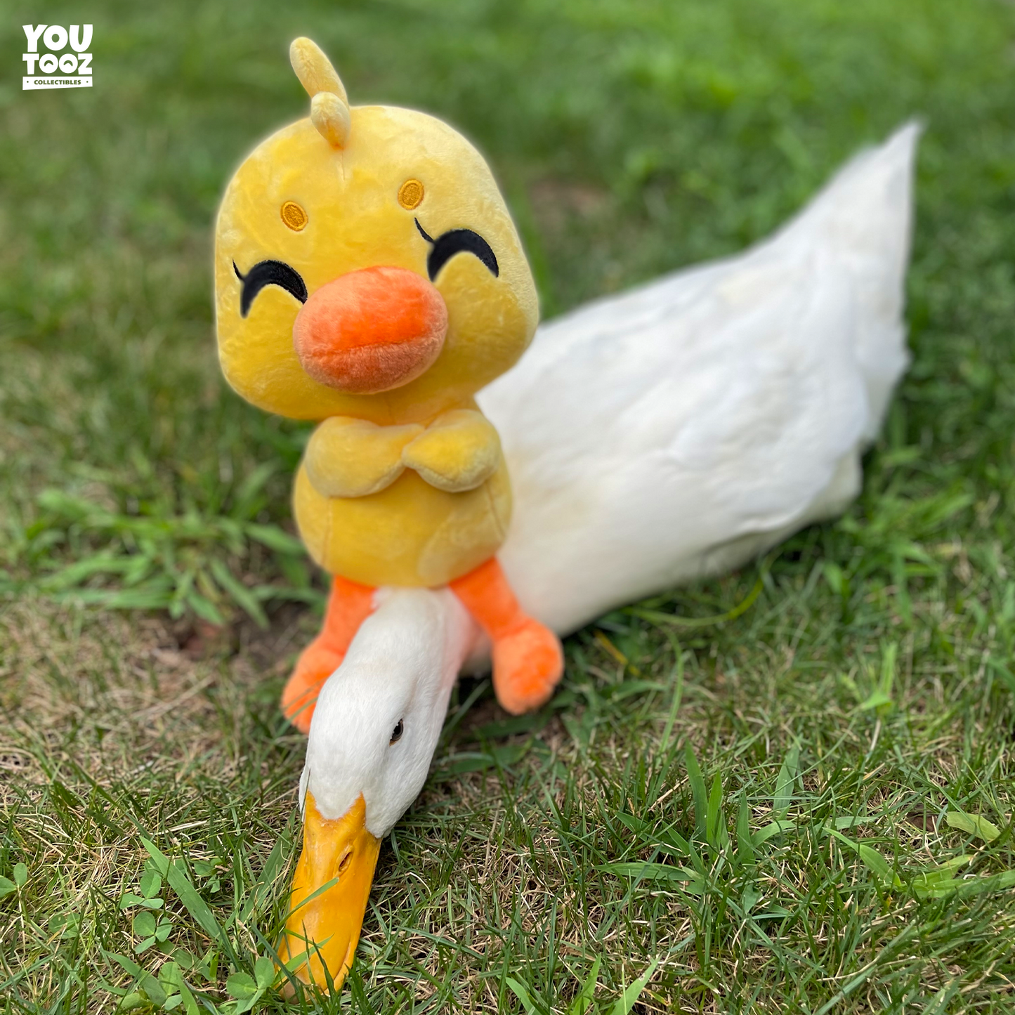 Duck Plush Toy (9in)