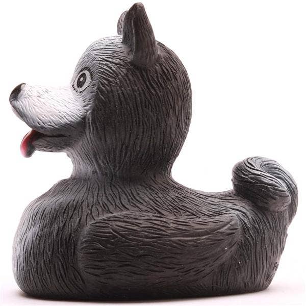 Canard Husky