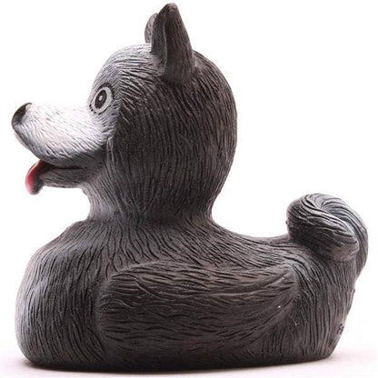 Canard Husky