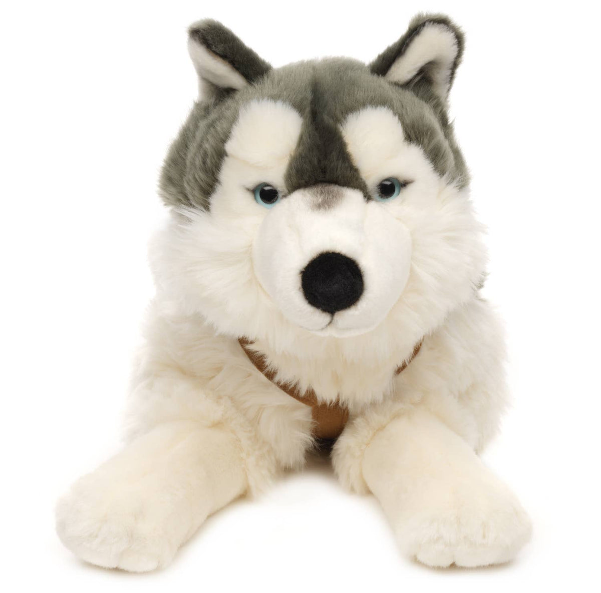 Lying husky plush with harness