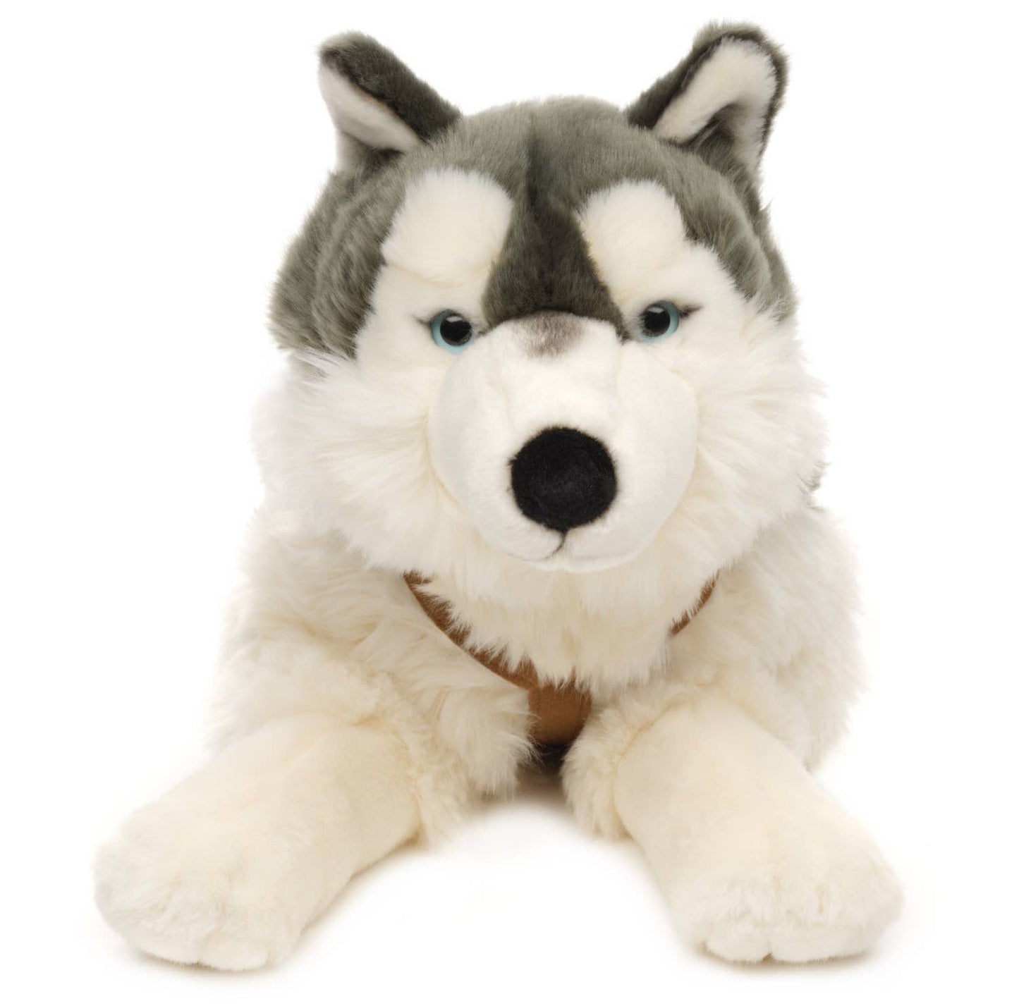 Peluche Husky, couché (avec harnais)