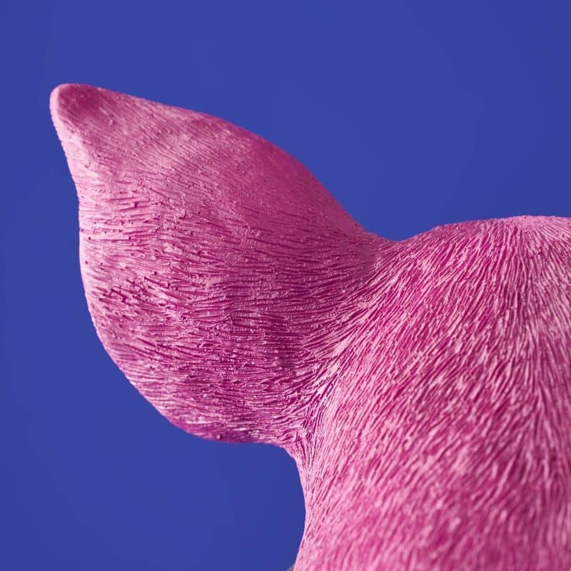 Roze Varken Tafellamp