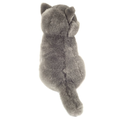 Sitting Chartreux Kitten Plush Toy