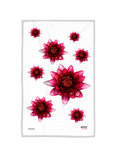 Lotus dish towel