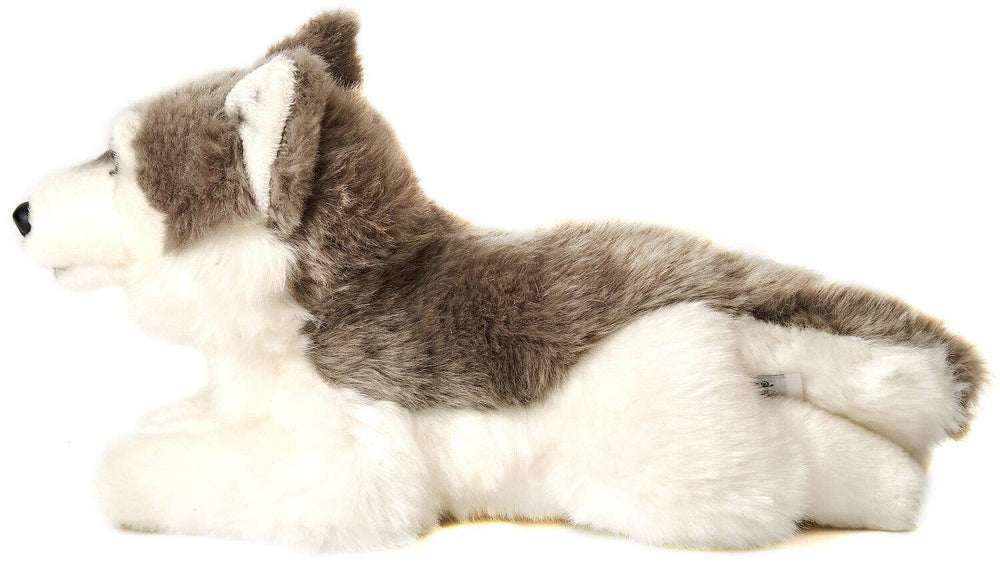 Peluche Husky Gris, Couché - 31 cm (Longueur)