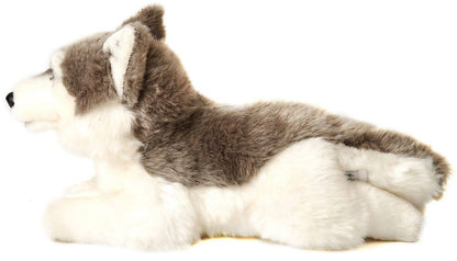 Peluche Husky gris, couché