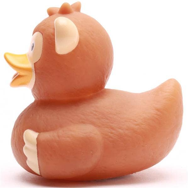 Canard singe