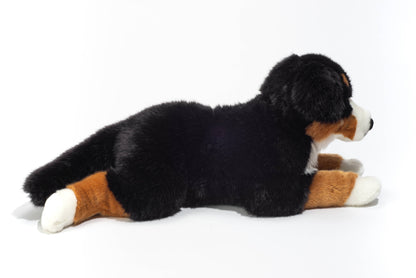 Plush Bernese Mountain Dog