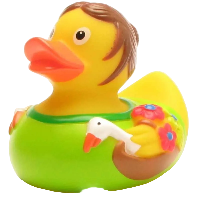 Duck Lison with geese
