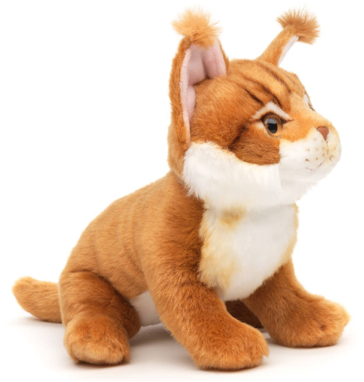 Maine Coon cat plush toy