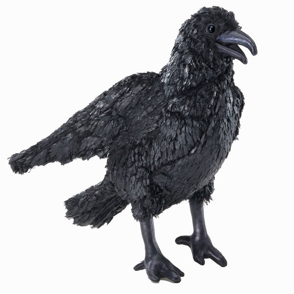 Marionnette à main Corbeau 3209/ corbeau Folkmanis réaliste