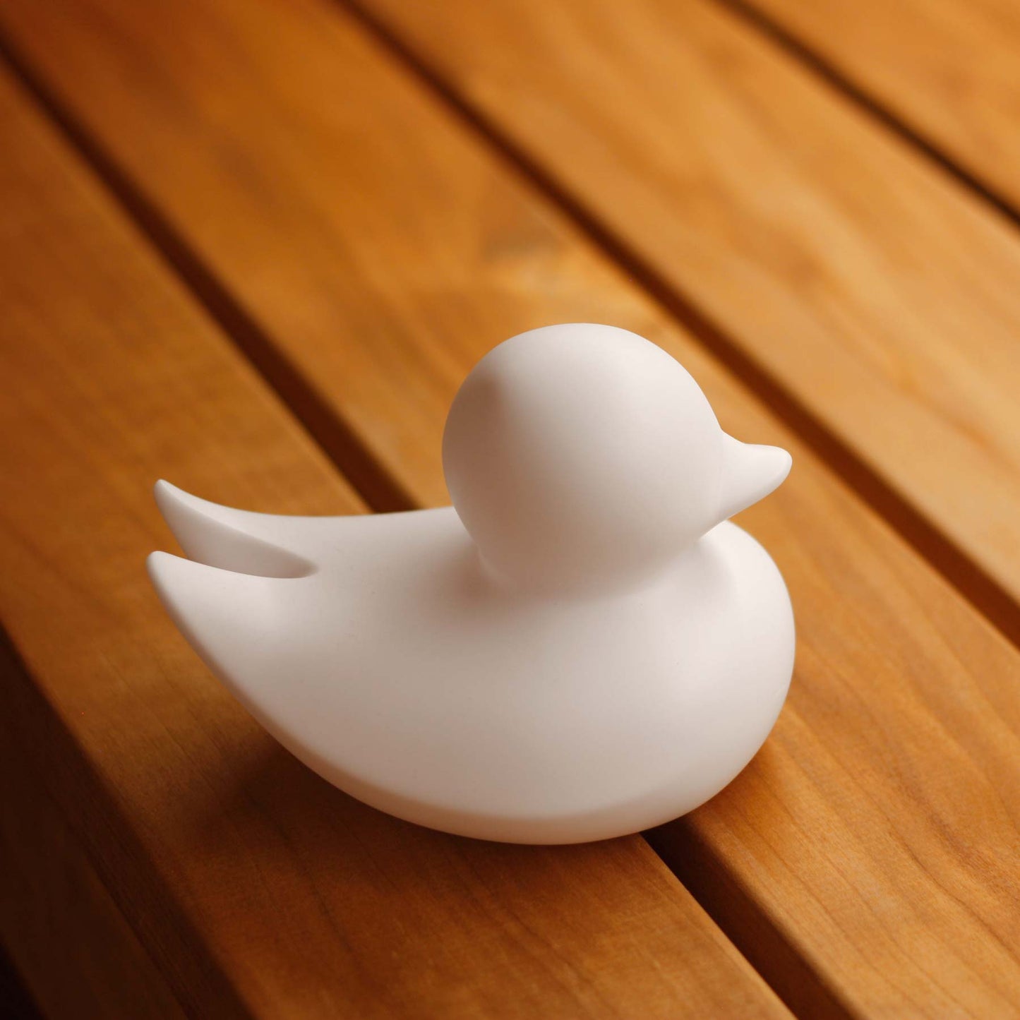 Minimalist Duck