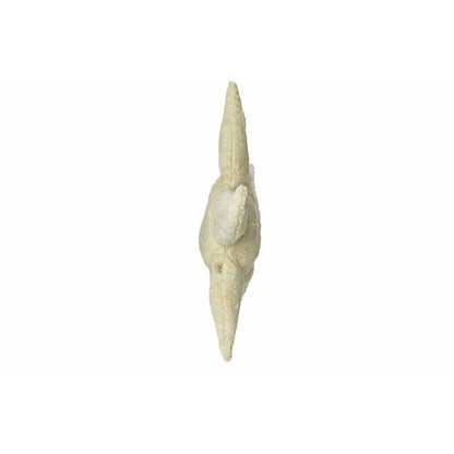 Small starfish plush toy