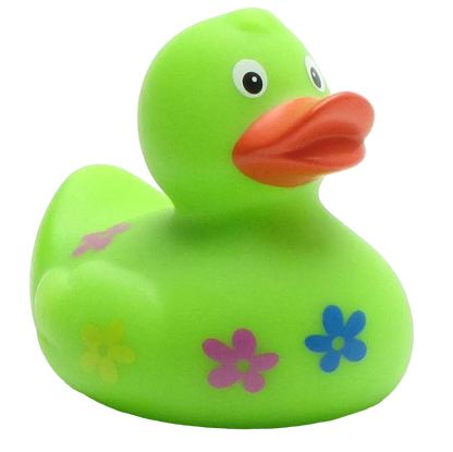 Floral Duck