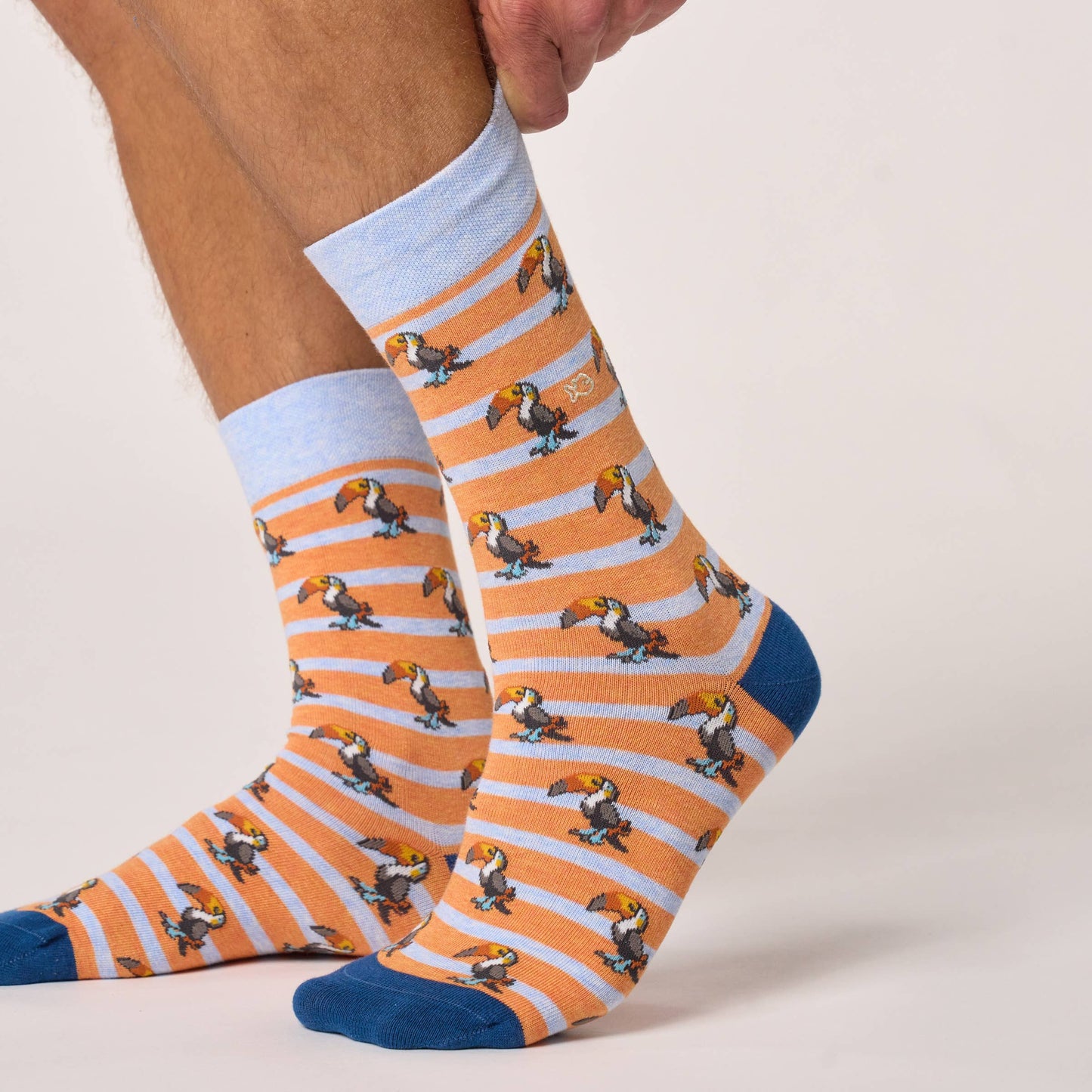 Combed cotton animal socks - Toucan