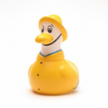 Seagull in a Yellow Raincoat
